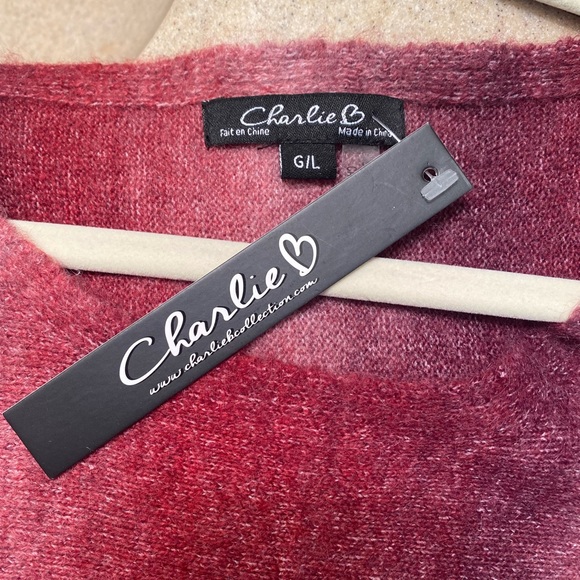 CHARLIE B Women's Dolman L/S Ombre Space Dye Striped Wine Sweater Size L NEW - Picture 9 of 12